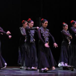 Fotografía de Talleres Danza Española (galería 2) - Conservatorio de Danza